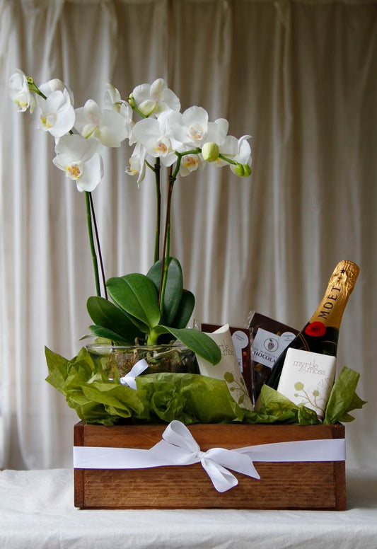 Ramo de flores para directivo