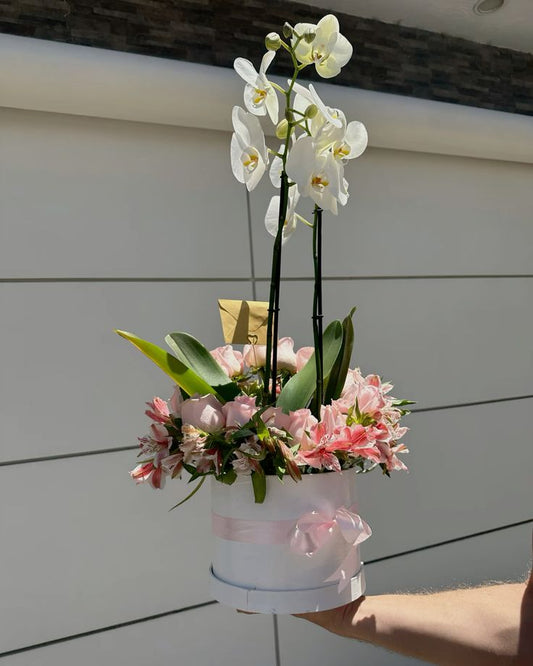 Ramo de orquídeas de cumpleaños